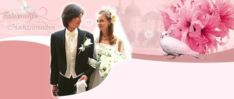 Hochzeitstauben Dresden unser Startbild von unserer Hochzeitstauben Infoseite